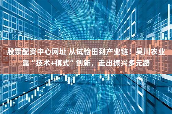 股票配资中心网址 从试验田到产业链!吴川农业靠“技术+模式”创新,走出振兴多元路